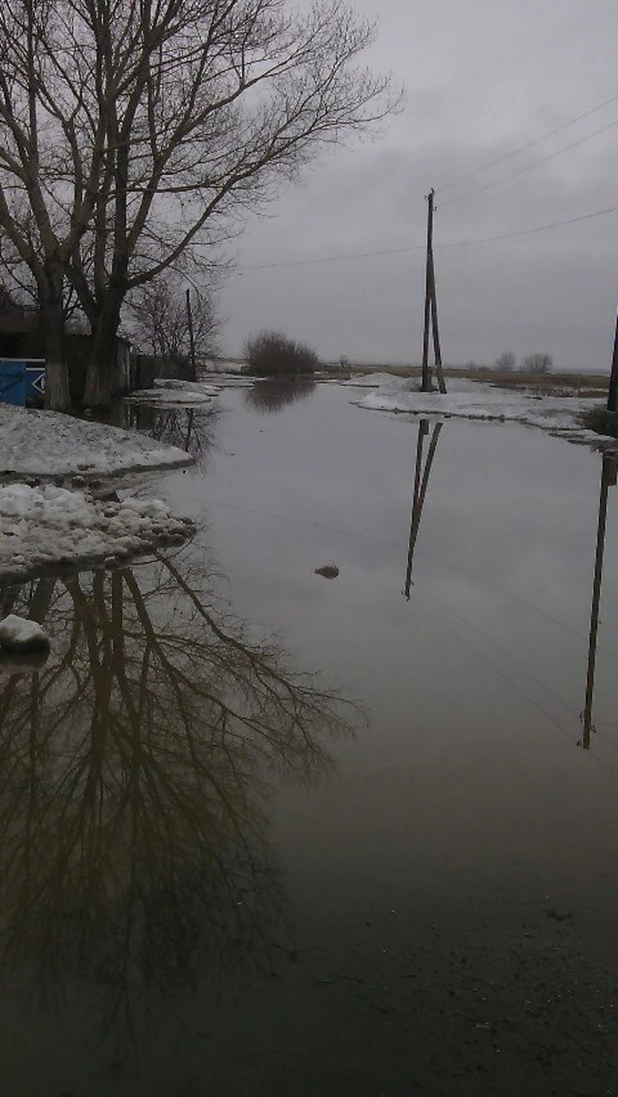 В Николаевку (Локтевский район) пришла талая вода. 13 апреля 2015 года.