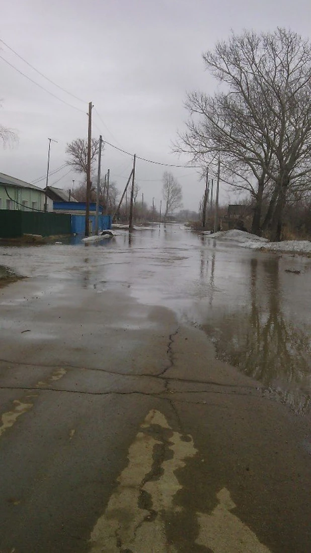 В Николаевку (Локтевский район) пришла талая вода. 13 апреля 2015 года.