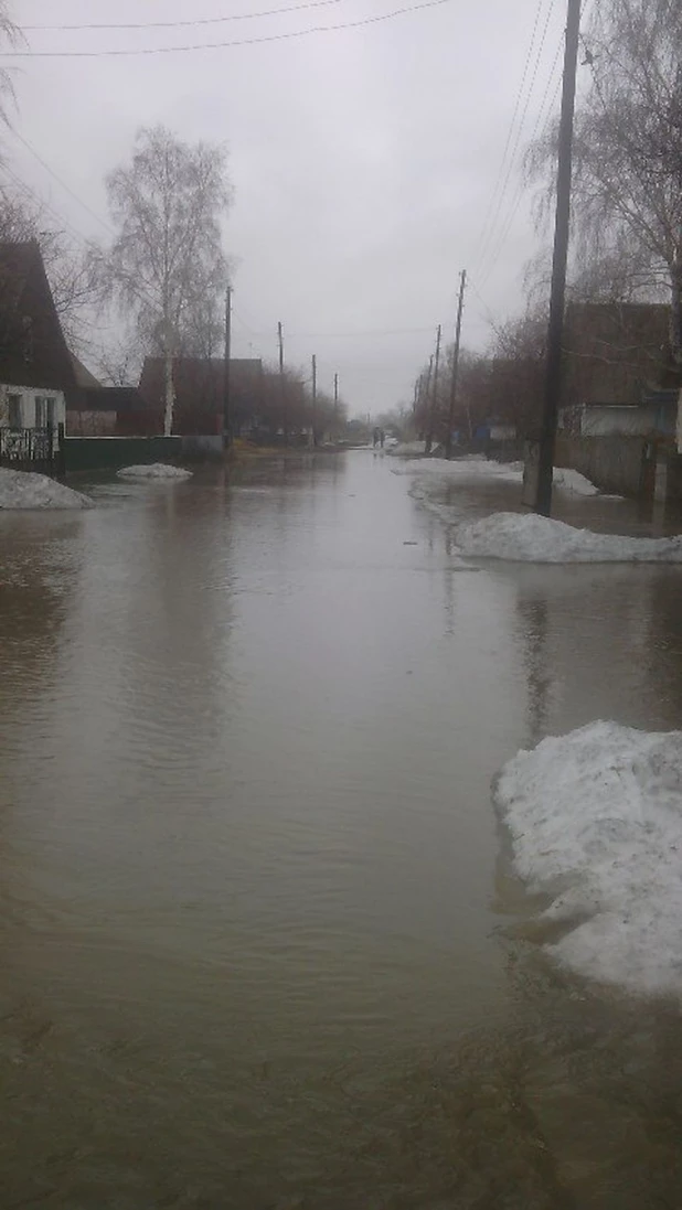 В Николаевку (Локтевский район) пришла талая вода. 13 апреля 2015 года.