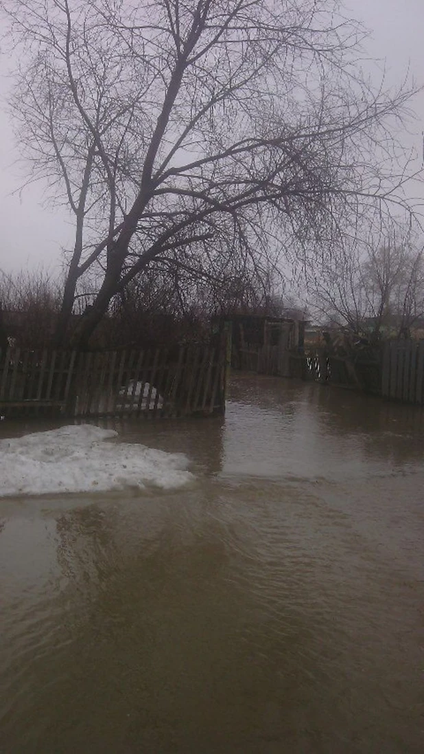 В Николаевку (Локтевский район) пришла талая вода. 13 апреля 2015 года.