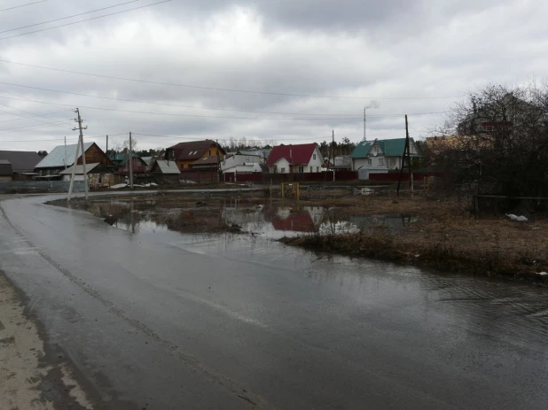 Уровень воды в Барнаулке поднялся. Район Булыгино, 14 апреля 2015 г.