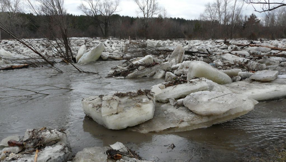 Уровень воды в Барнаулке поднялся. Район Булыгино, 14 апреля 2015 г.