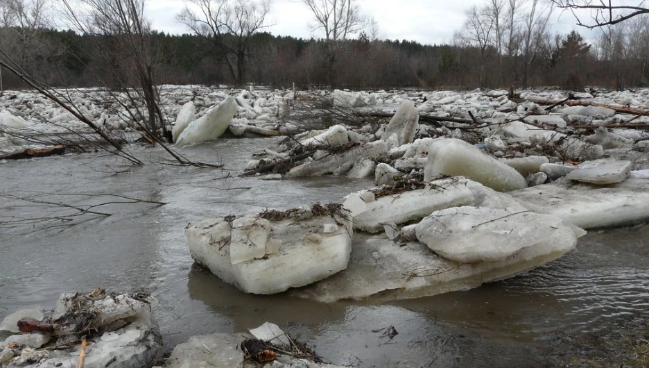 Уровень воды в Барнаулке поднялся. Район Булыгино, 14 апреля 2015 г.