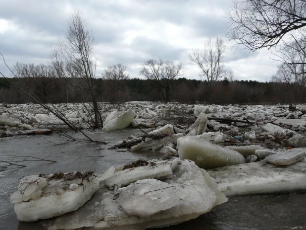 Уровень воды в Барнаулке поднялся. Район Булыгино, 14 апреля 2015 г.