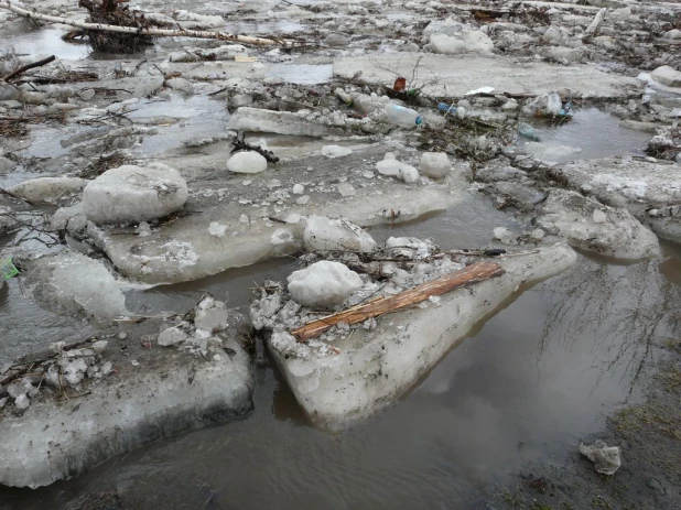 Уровень воды в Барнаулке поднялся. Район Булыгино, 14 апреля 2015 г.