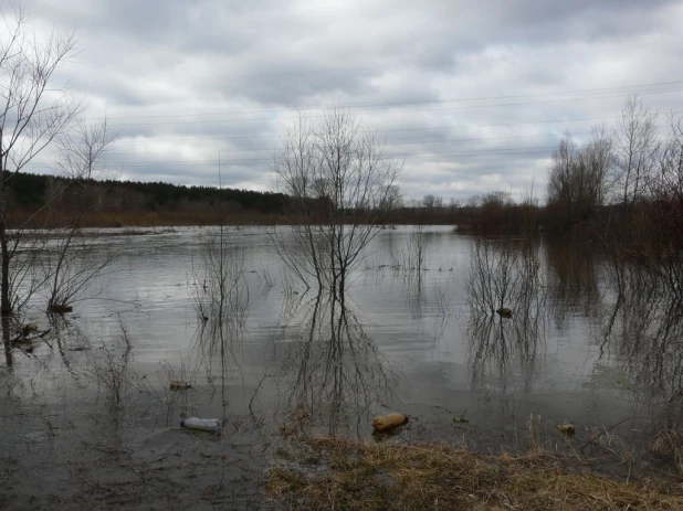 Уровень воды в Барнаулке поднялся. Район Булыгино, 14 апреля 2015 г.