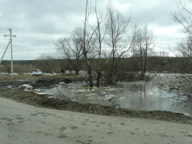 Уровень воды в Барнаулке поднялся. Район Булыгино, 14 апреля 2015 г.