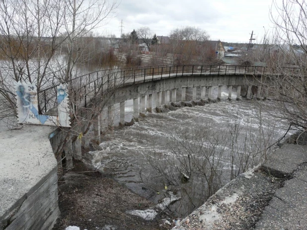 Уровень воды в Барнаулке поднялся. Район Булыгино, 14 апреля 2015 г.