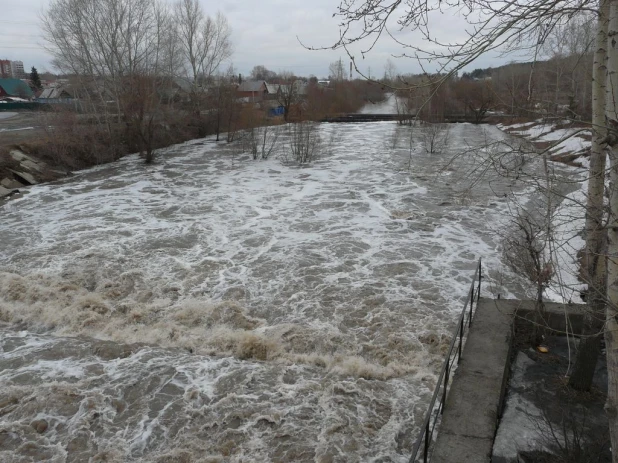 Уровень воды в Барнаулке поднялся. Район Булыгино, 14 апреля 2015 г.