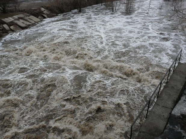 Уровень воды в Барнаулке поднялся. Район Булыгино, 14 апреля 2015 г.