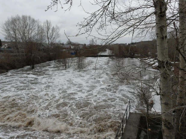 Уровень воды в Барнаулке поднялся. Район Булыгино, 14 апреля 2015 г.