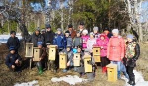 В Алтайском крае лесники провели для школьников День экологических знаний в сосновом бору