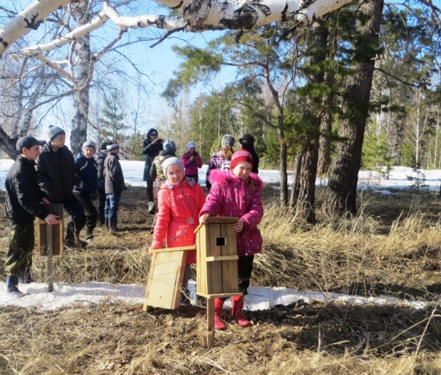 В Алтайском крае лесники провели для школьников День экологических знаний в сосновом бору