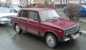 Барнаульцы подарили пострадавшим пенсионерам новую машину.