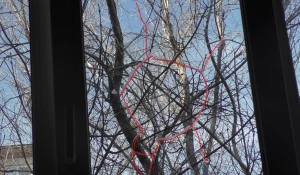 Рубцовскому пенсионеру Братищенко стреляли в окна.