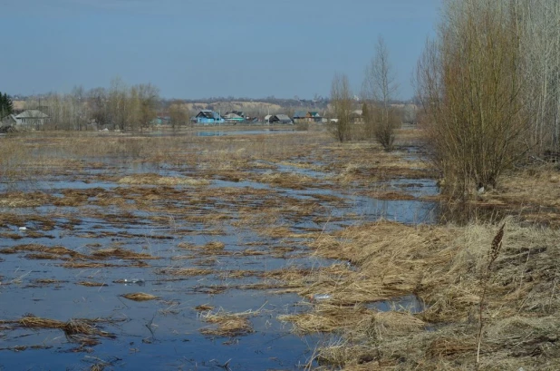 Вода на подступах к Затону, апрель 2015.