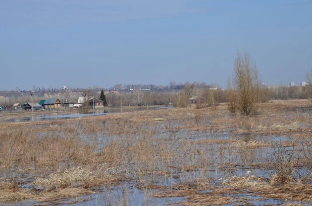 Вода на подступах к Затону, апрель 2015.