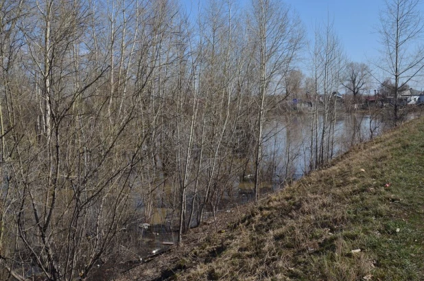 Вода на подступах к Затону, апрель 2015.