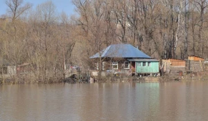 Вода на подступах к Затону, апрель 2015.