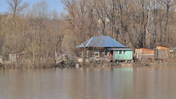 Вода на подступах к Затону, апрель 2015.