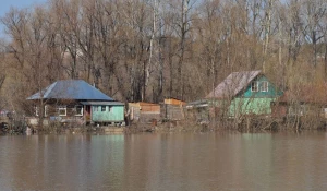 Вода на подступах к Затону, апрель 2015.