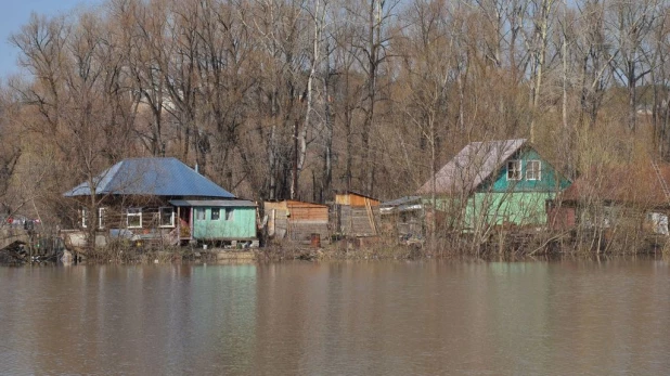 Вода на подступах к Затону, апрель 2015.