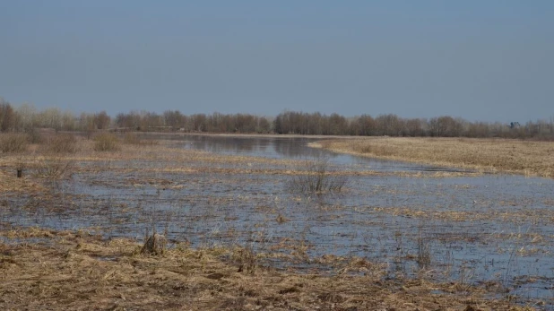 Вода на подступах к Затону, апрель 2015.