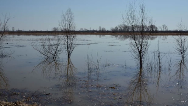 Вода на подступах к Затону, апрель 2015.