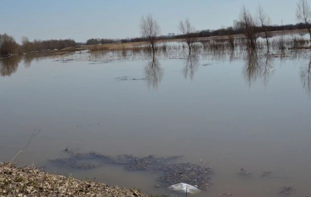 Вода на подступах к Затону, апрель 2015.