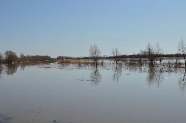 Вода на подступах к Затону, апрель 2015.