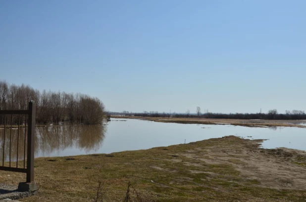 Вода на подступах к Затону, апрель 2015.