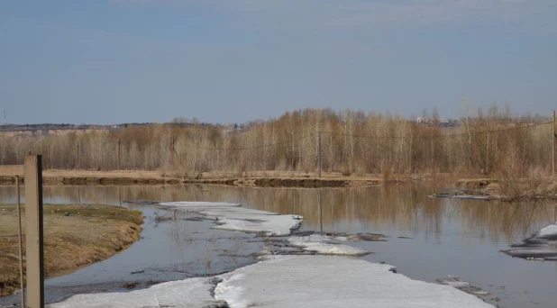 Вода на подступах к Затону, апрель 2015.