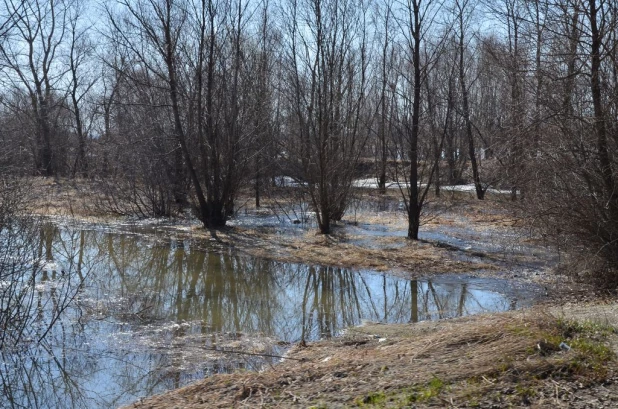 Вода на подступах к Затону, апрель 2015.