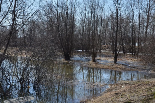 Вода на подступах к Затону, апрель 2015.