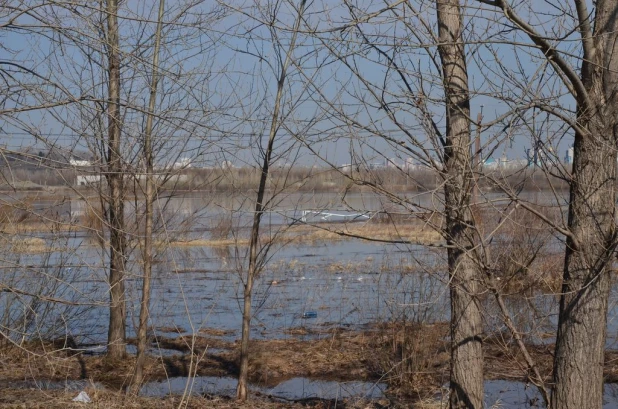 Вода на подступах к Затону, апрель 2015.