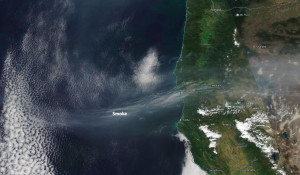Дым от пожаров в Сибири добрался до берегов США.