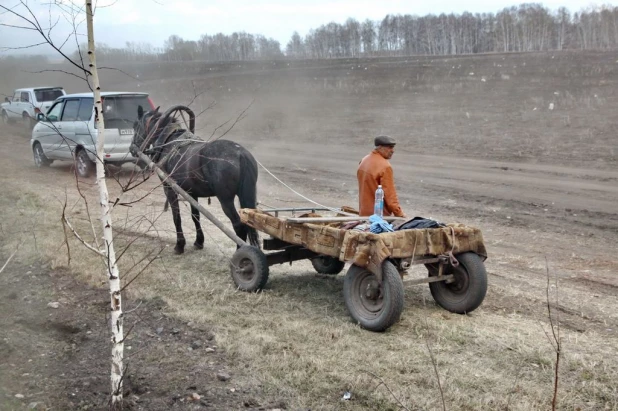 Родительский день в Барнауле. 21 апреля 2015 года.