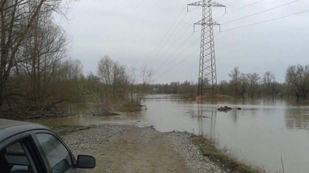 Паводок в Затоне 26 апреля 2015 года.