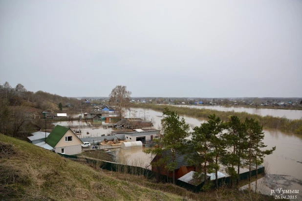 Паводок в Заринске, 26 апреля 2015 года.