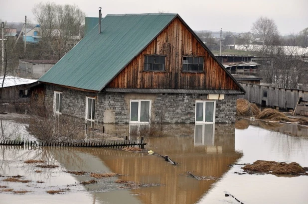 Паводок в Заринске, 26 апреля 2015 года.