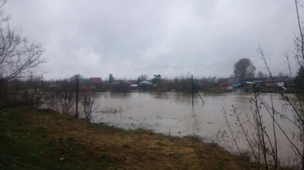 Паводок в Заринске, 26-27 апреля 2015 года.