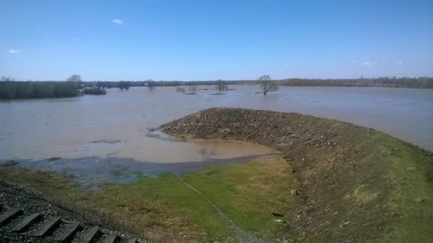 Паводок в Заринске, 26-27 апреля 2015 года.