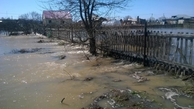 Паводок в Заринске, 26-27 апреля 2015 года.