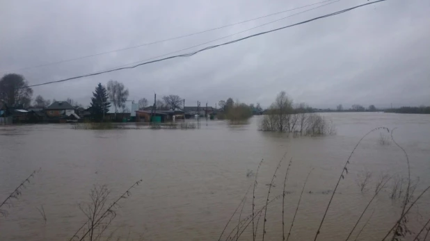 Паводок в Заринске, 26-27 апреля 2015 года.