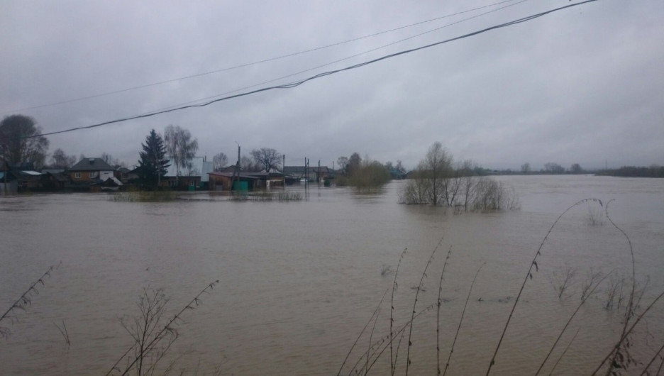 Паводок в Заринске, 26-27 апреля 2015 года.