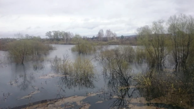 Паводок в Заринске, 26-27 апреля 2015 года.