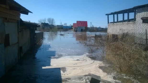 Паводок в Заринске, 26-27 апреля 2015 года.