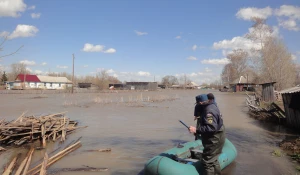 Паводок в Заринске, 27-28 апреля 2015 года.