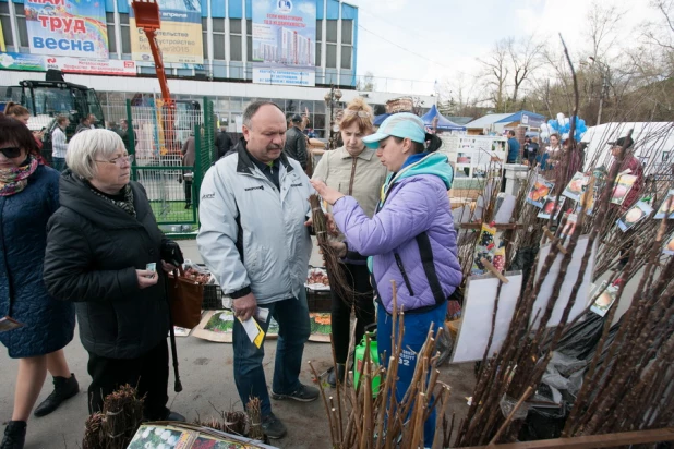 Строительная выставка в Барнауле. 28 апреля 2015 года.