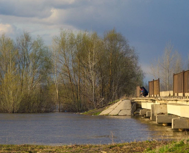 Затон, 28 апреля 2015 года.